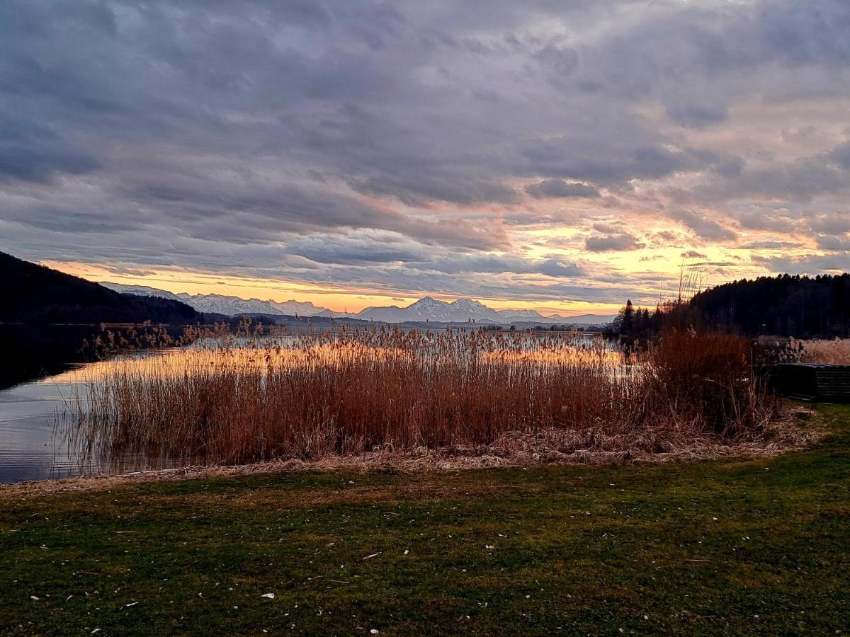 Ferienwohnung Wallersee ノイマルクト・アム・ヴァラーゼー エクステリア 写真